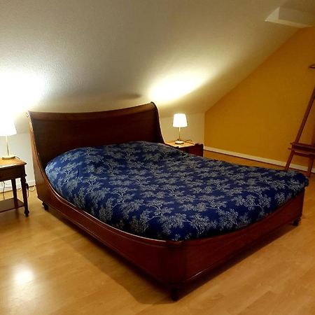Geo 2 Apartment Horbourg Bagian luar foto